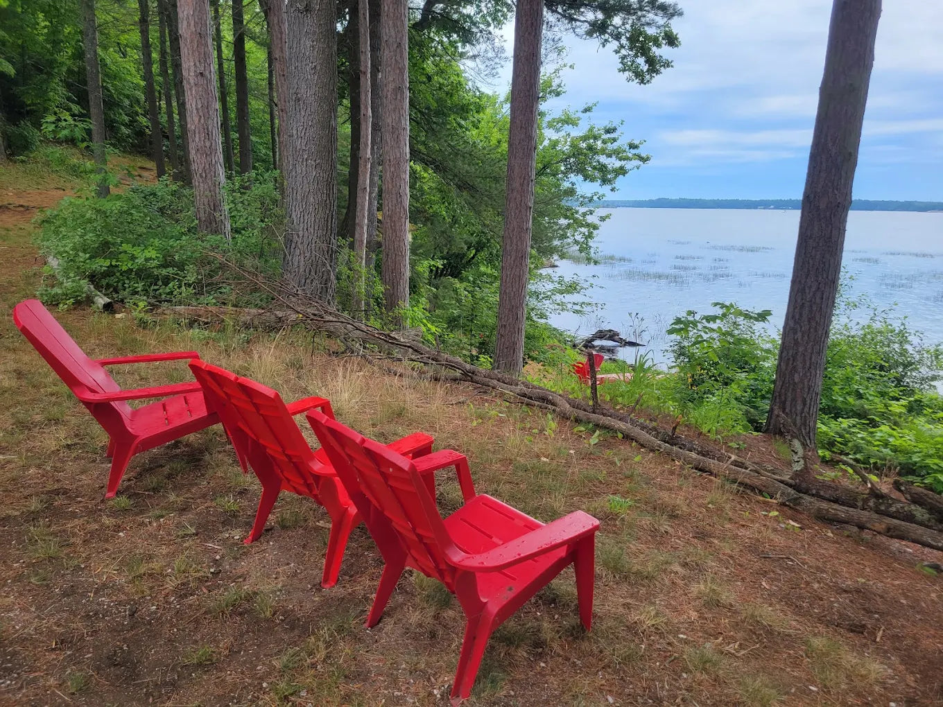 AQC's Big QUEER Camp - Day Pass (Saturday)