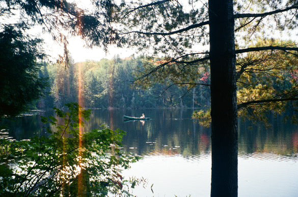 Field Trip to Limberlost Forest