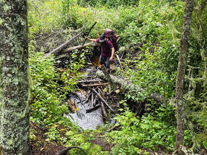 AQC Algonquin Canoe Trip - North Arm Escape