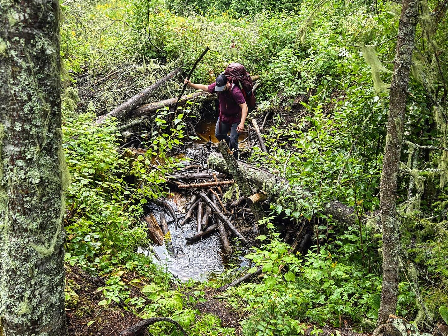 AQC Algonquin Backcountry Escape: Official Waitlist