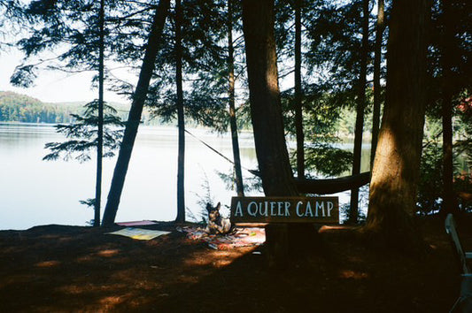 Field Trip to Limberlost Forest