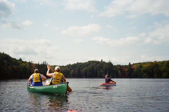 Field Trip to Limberlost Forest