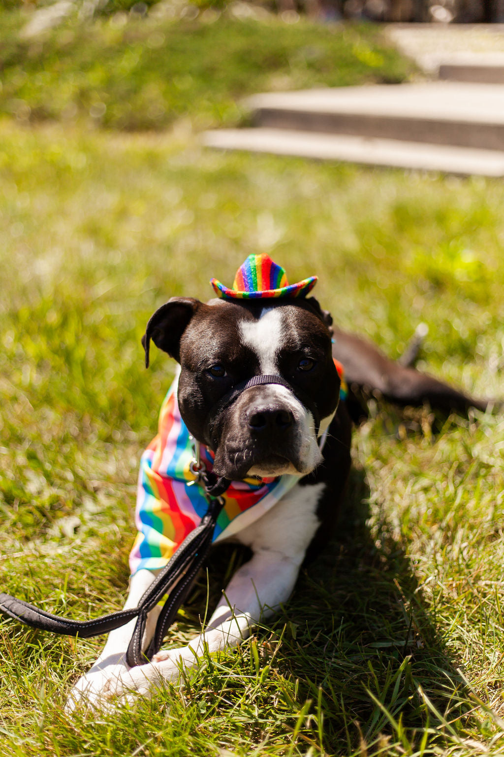 AQC's BIG Queer Camp 2026 - Weekend Accommodation Tickets