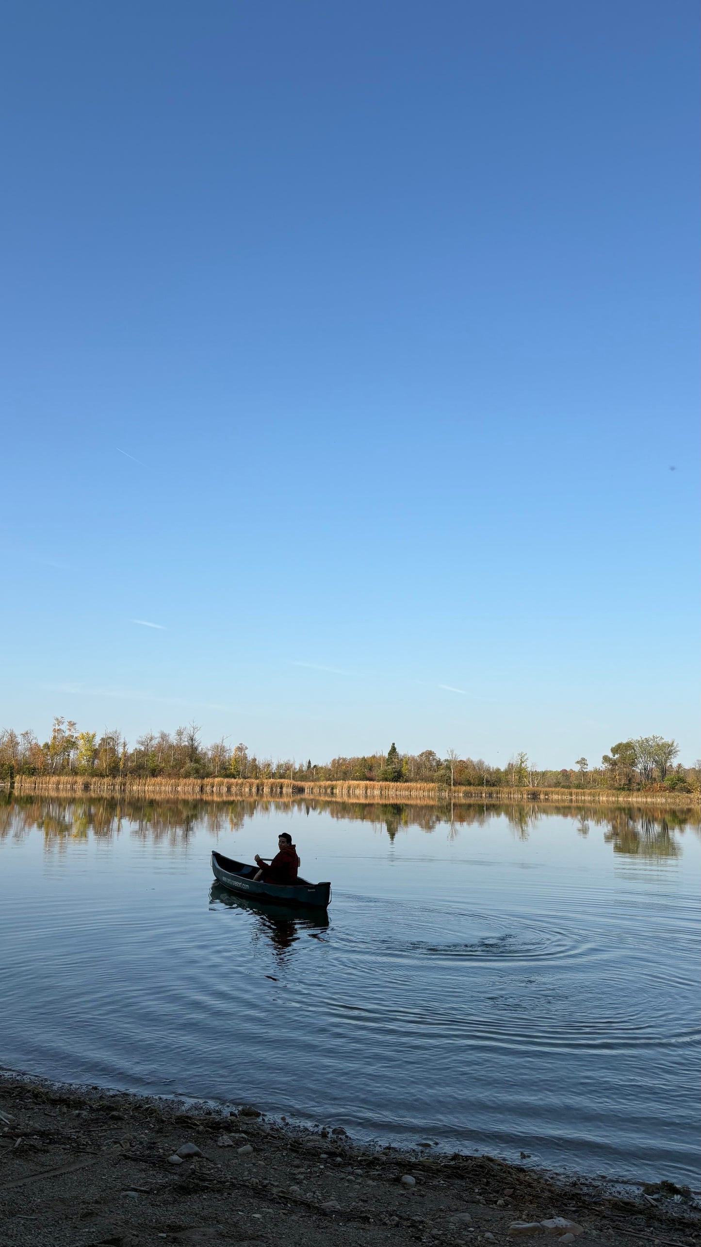 The PEC Local's Pass