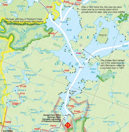 AQC Algonquin Canoe Trip - North Arm Escape