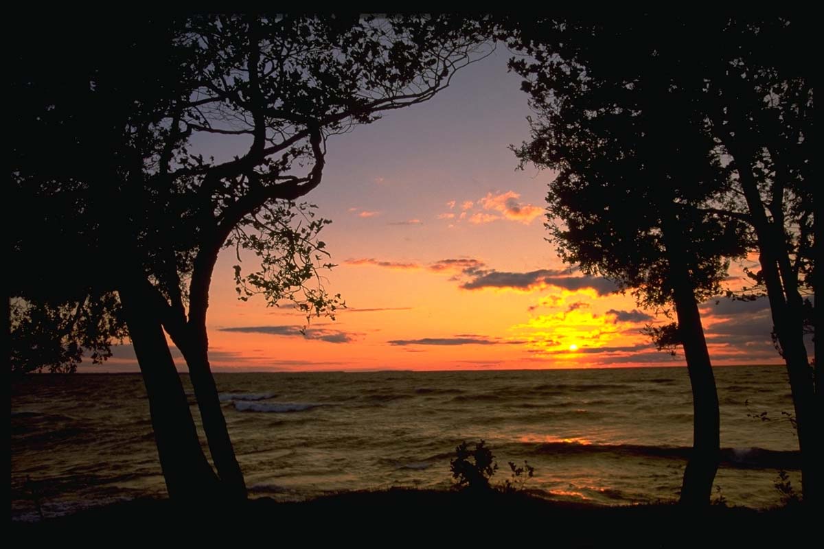 AQC Prince Edward County Escape 🌊 - Weekend Accommodations