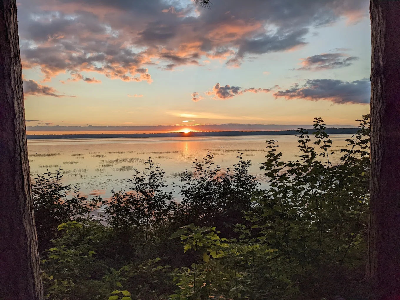 AQC's BIG Queer Camp 2026 - Weekend Accommodation Tickets