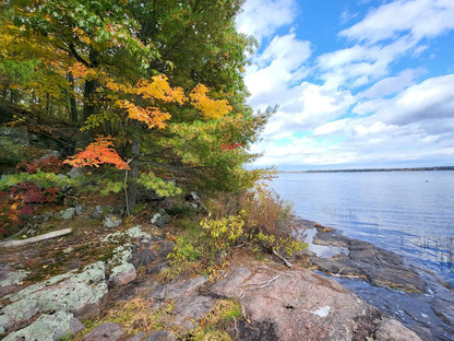 AQC's Big QUEER Camp - Day Pass (Saturday)