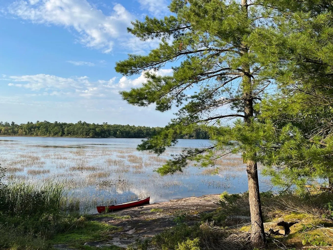 AQC's Big QUEER Camp - Day Pass (Saturday)